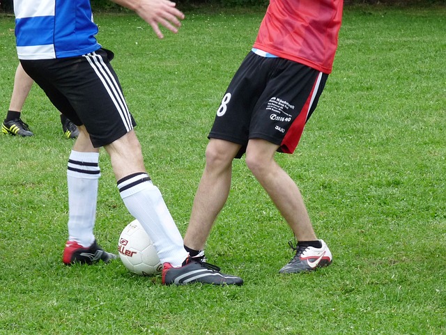 胜利体育app入口官网