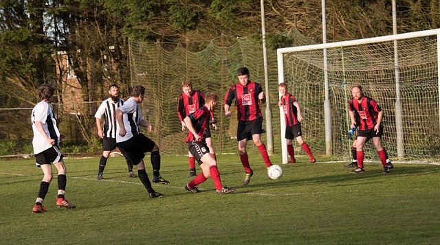 胜利体育app入口官网